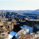 Plants: image 2 0f 4 thumb