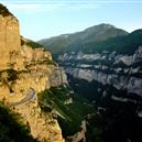 Plants: image 2 0f 4 thumb