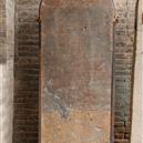 Plants: image 2 0f 4 thumb