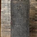 Plants: image 2 0f 4 thumb