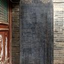 Plants: image 2 0f 4 thumb