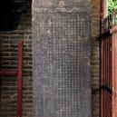 Plants: image 2 0f 4 thumb