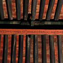 Plants: image 2 0f 4 thumb