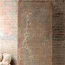 Plants: image 2 0f 4 thumb