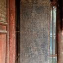 Plants: image 2 0f 4 thumb