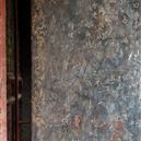 Plants: image 2 0f 4 thumb