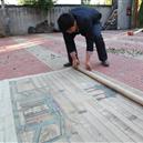 Plants: image 2 0f 4 thumb