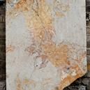 Plants: image 2 0f 4 thumb