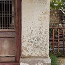 Plants: image 2 0f 4 thumb