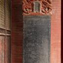 Plants: image 2 0f 4 thumb