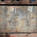 Plants: image 2 0f 4 thumb