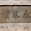 Plants: image 2 0f 4 thumb