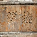 Plants: image 2 0f 4 thumb