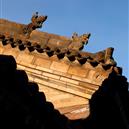 Plants: image 2 0f 4 thumb