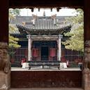 Plants: image 2 0f 4 thumb