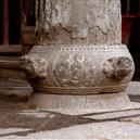 Plants: image 2 0f 4 thumb