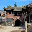 Plants: image 2 0f 4 thumb