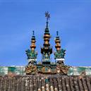 Plants: image 2 0f 4 thumb