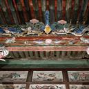 Plants: image 2 0f 4 thumb