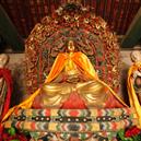 Plants: image 2 0f 4 thumb