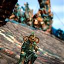 Plants: image 2 0f 4 thumb