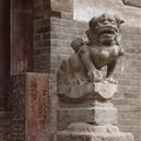 Plants: image 2 0f 4 thumb