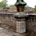 Plants: image 2 0f 4 thumb