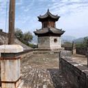 Plants: image 2 0f 4 thumb