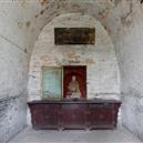 Plants: image 2 0f 4 thumb