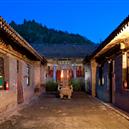 Plants: image 2 0f 4 thumb