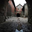 Plants: image 2 0f 4 thumb