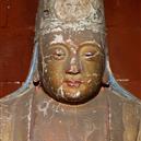 Plants: image 2 0f 4 thumb