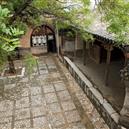 Plants: image 2 0f 4 thumb