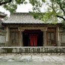 Plants: image 2 0f 4 thumb