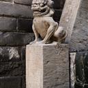 Plants: image 2 0f 4 thumb