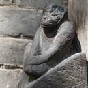 Plants: image 2 0f 4 thumb