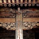 Plants: image 2 0f 4 thumb