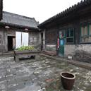 Plants: image 2 0f 4 thumb