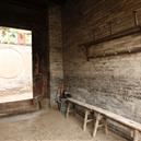 Plants: image 2 0f 4 thumb