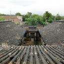 Plants: image 2 0f 4 thumb