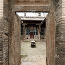 Plants: image 2 0f 4 thumb