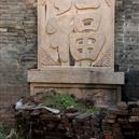 Plants: image 2 0f 4 thumb