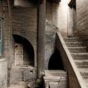 Plants: image 2 0f 4 thumb