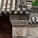 Plants: image 2 0f 4 thumb