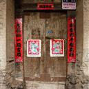 Plants: image 2 0f 4 thumb