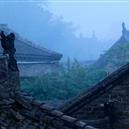 Plants: image 2 0f 4 thumb