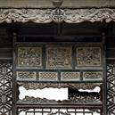 Plants: image 2 0f 4 thumb