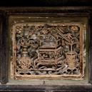 Plants: image 2 0f 4 thumb