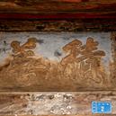 Plants: image 2 0f 4 thumb