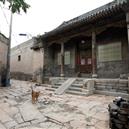 Plants: image 2 0f 4 thumb